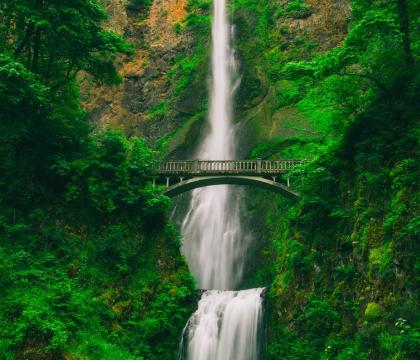 Bridge over waterfall in a rugged green woodland