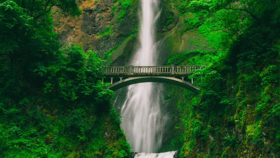 Bridge over waterfall in a rugged green woodland