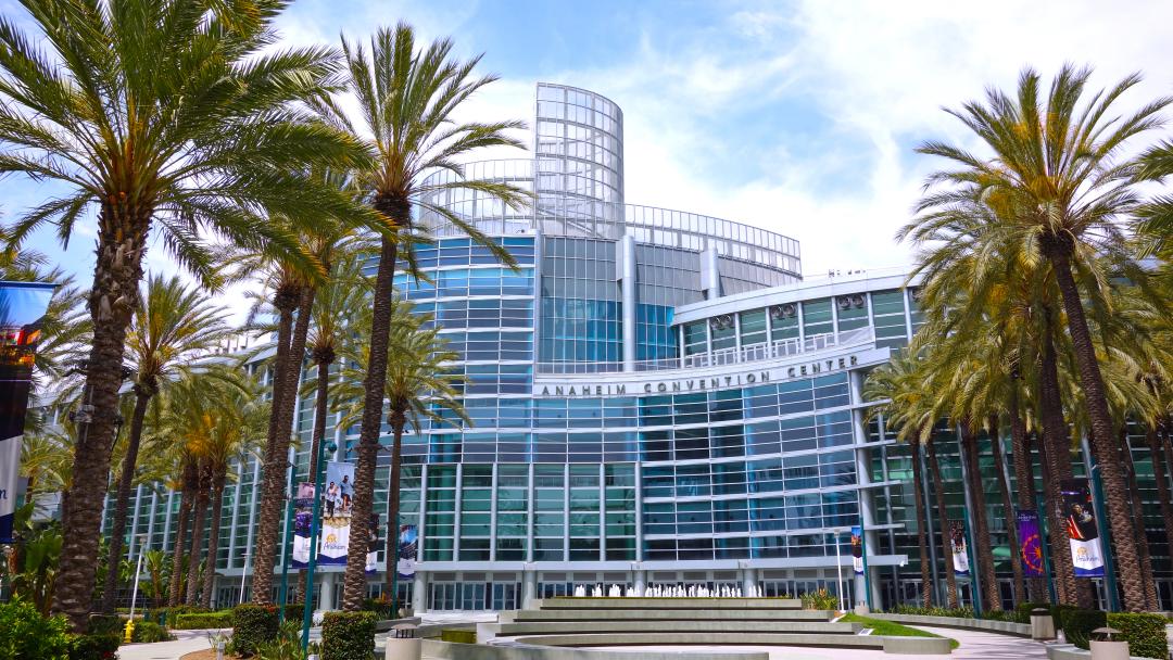 Anaheim 2